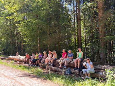 Grillplausch Hofholzhütte, Bild 3