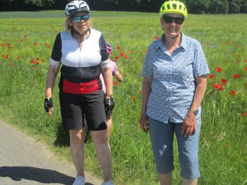 Velotour Wil – Tägerwilen – Weinfelden, Bild 3