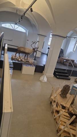 Seemuseum Kreuzlingen, Bild 3