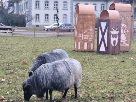 Kleine Wanderung Dreibrunnen, Bild 2