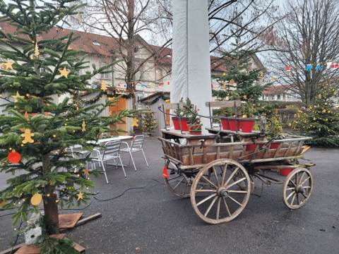 Kleine Wanderung Dreibrunnen, Bild 3