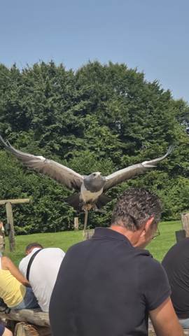 Jahresausflug, Bild 7