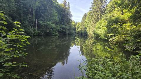 Überregionale Wanderung, Bild 2