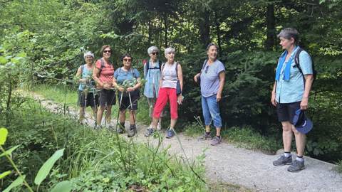 Überregionale Wanderung, Bild 3