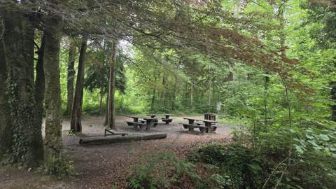 Überregionale Wanderung Fabelweg Arenenberg – Steckborn, Bild 3