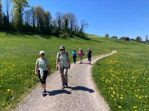 Überregionale Wanderung Lütisburg – Hammertobel – Müselbach – Hänisberg – Lütisburg, Bild 4